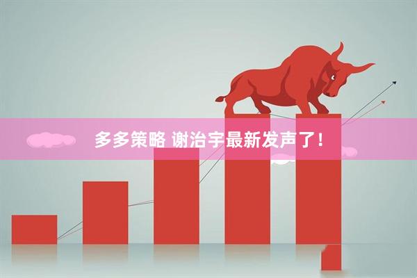 多多策略 谢治宇最新发声了！